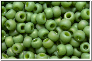 RR-08-4698, MIYUKI Rocailles, 08/0, kiwi, op., glaze, matte, AB, 10g
