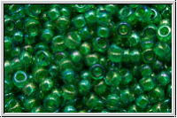 RR-11-0354, MIYUKI Rocailles, 11/0, aqua, trans., emerald-ld., AB, 10g