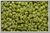 RR-15-4474, MIYUKI Rocailles, 15/0, cactus, op., dyed duracoat, 5g