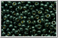RR-11-5107, MIYUKI Rocailles, 11/0, moos, black, galv., duracoat, 5 g