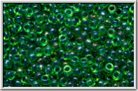 RR-15-0332, MIYUKI Rocailles, 15/0, green, trans., dk. blue-ld., AB, 5g