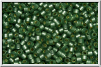 DB0689, MIYUKI Delica, 11/0, grey/green (dyed), lt., trans., silver-ld., semi matte, 5g