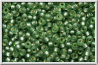 RR-15-1630, MIYUKI Rocailles, 15/0, green, moss. trans., silver-ld., semi matte, 5g