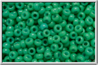 RR-11-4474, MIYUKI Rocailles, 11/0, cactus, op., dyed duracoat, 10g