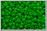 RR-11-4476, MIYUKI Rocailles, 11/0, fiji green, op., dyed duracoat, 10g